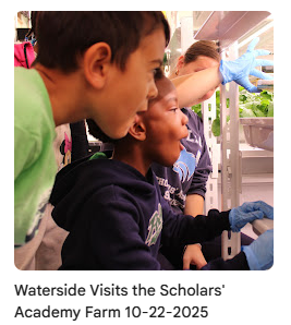 students looking at the hydroponic farm