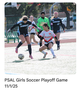 soccer players on field during game